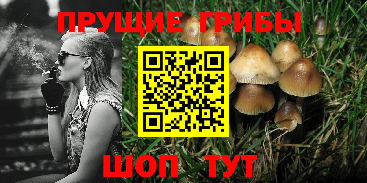 Псилоцибиновые грибы мицелий Кызыл